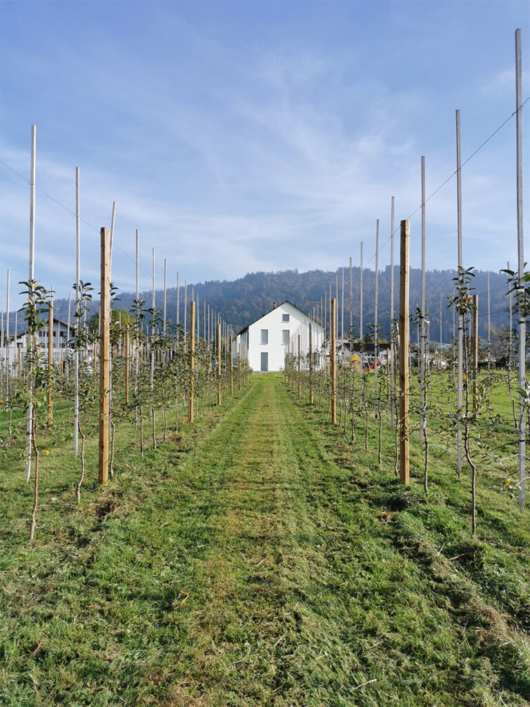 Michaela Fesslers Praxis mit Obstbäumen